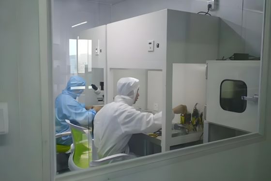 quality Cleanroom Clean Bench (laminar Flow Hood) For Mushroom Cultivation factory