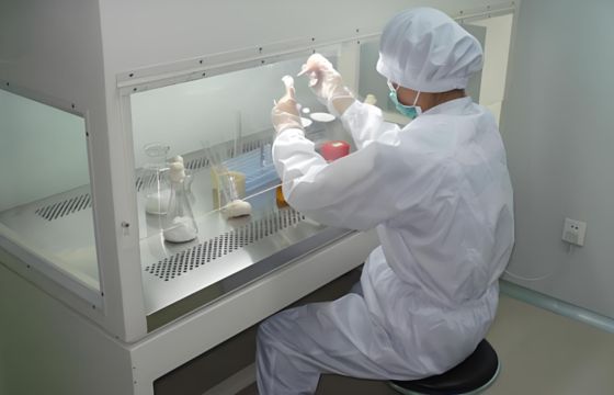 quality Laminar Flow Biological Safety Cabinet For Mushroom Cultivation factory